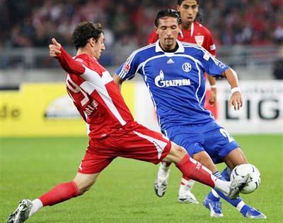 化与世界分 化与世界分